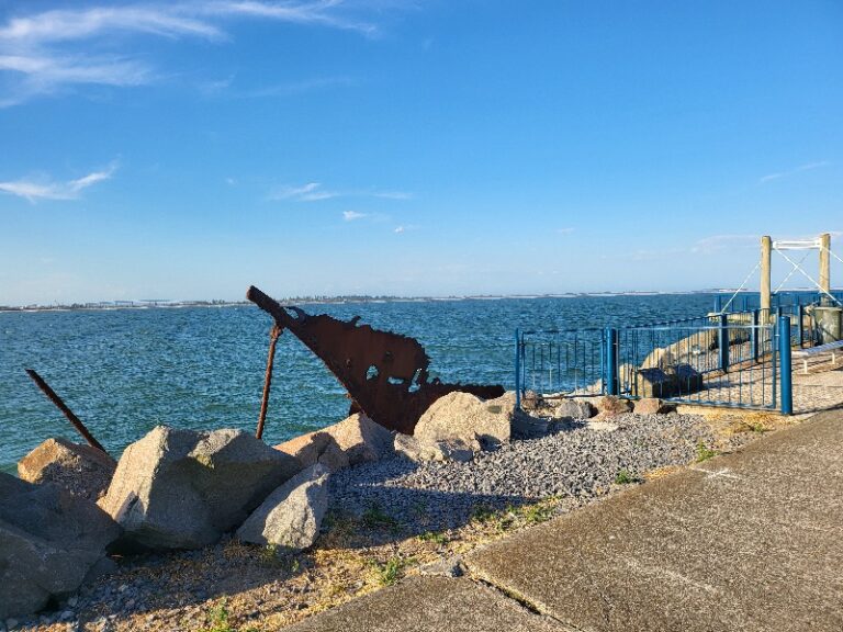 20221205 205240 768x576