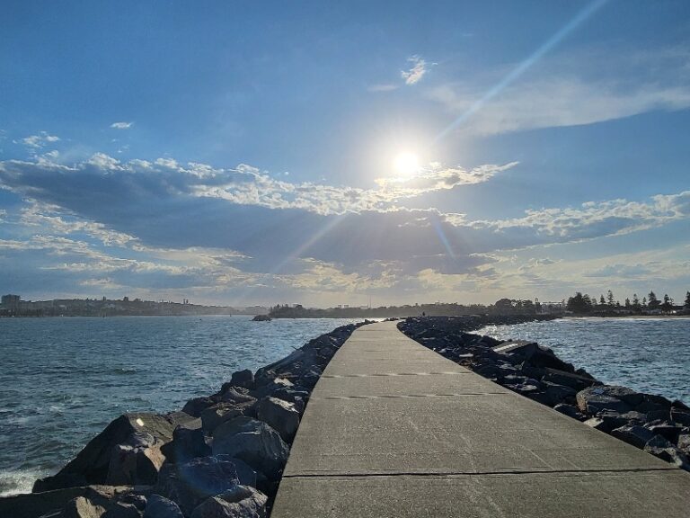 20221205 205303 768x576