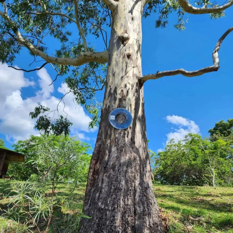 IMG 20230108 193858 532 768x768