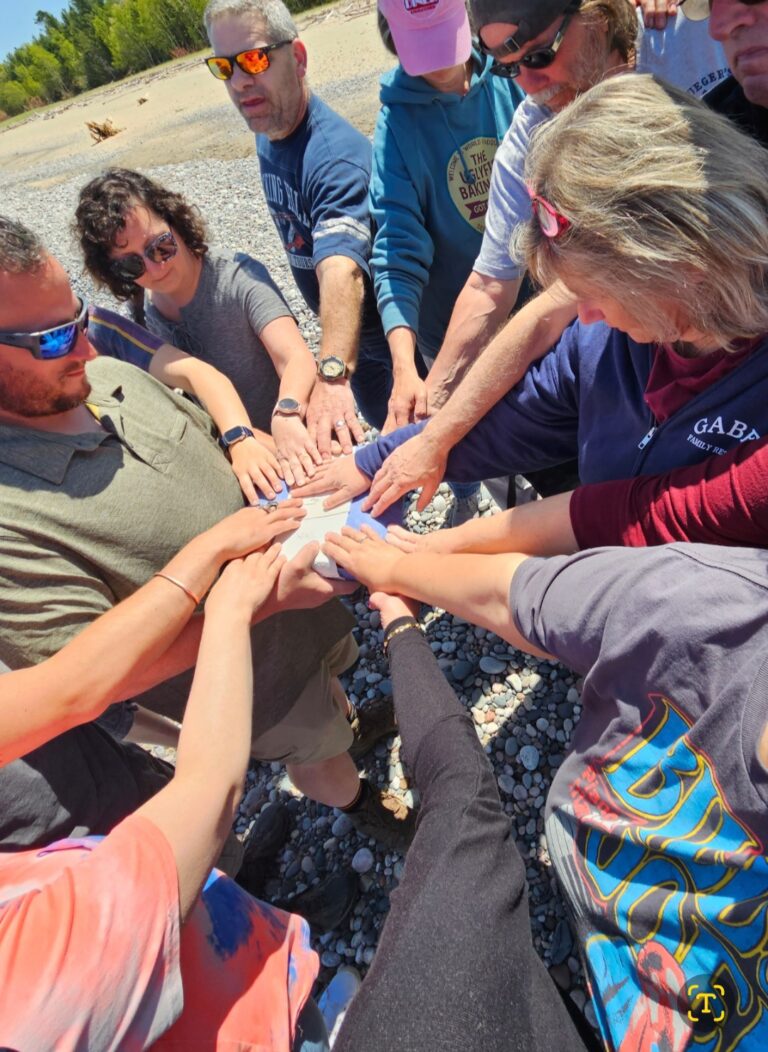 Screenshot 20230528 225230 Gallery 768x1052