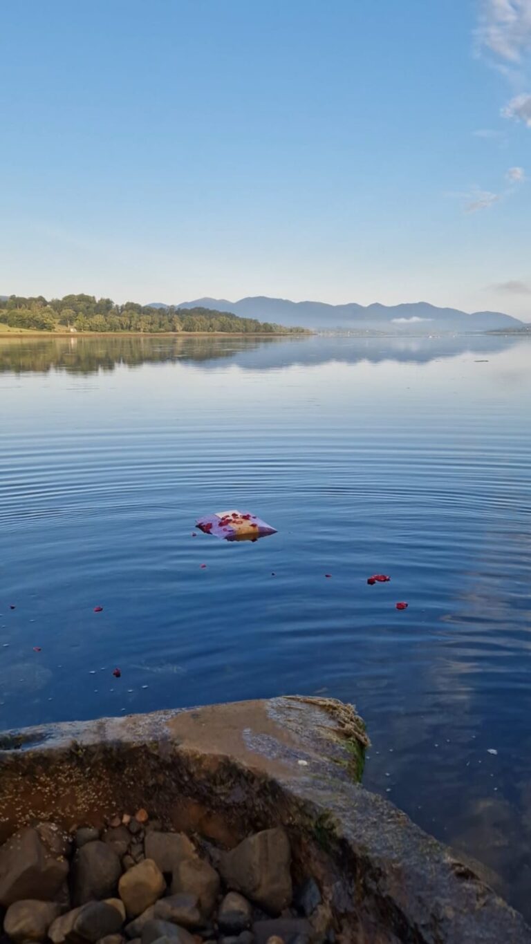 589dd0bb 9d99 4561 b13e efc984eebe64 768x1366