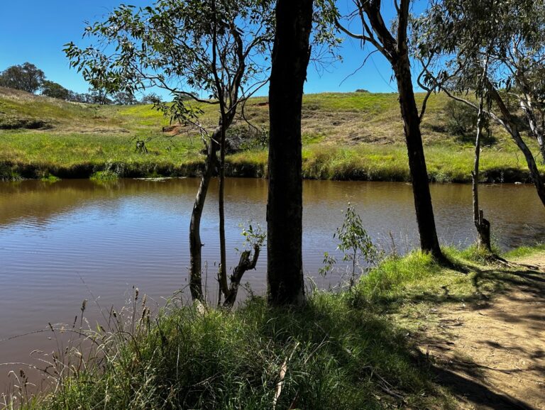 Yass River 1 768x578