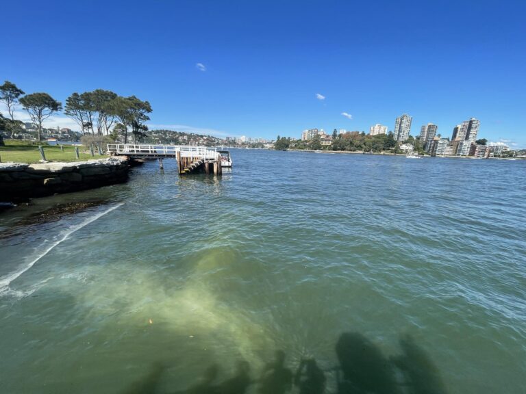 cbbe6b2b 807d 46df 9587 c244051b1531 768x576