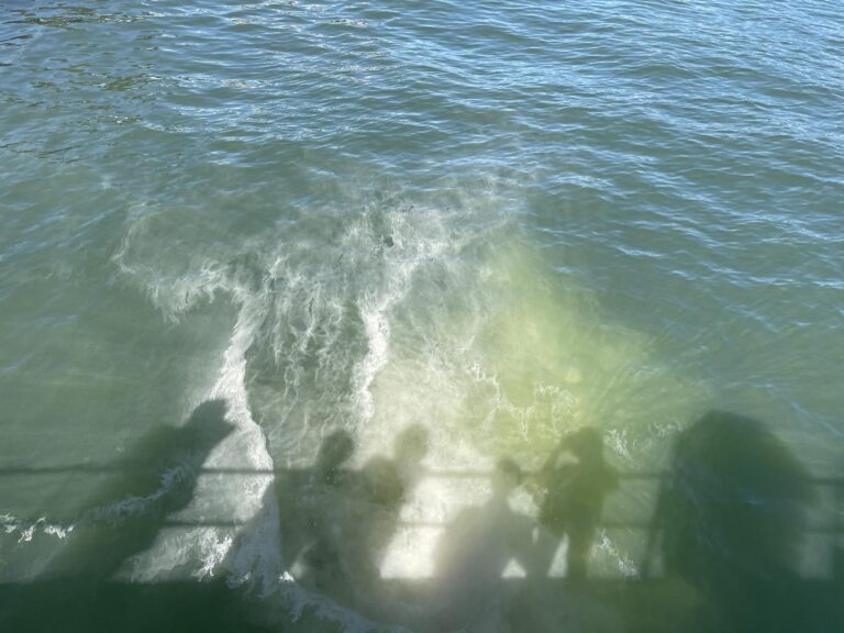 d77f5250 3c1d 4907 8579 542e5beb0c2a 768x576