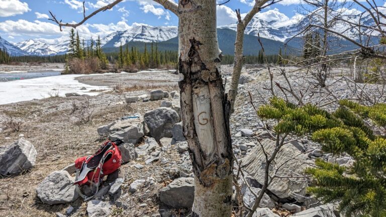 PXL 20240512 210823224 1 768x432