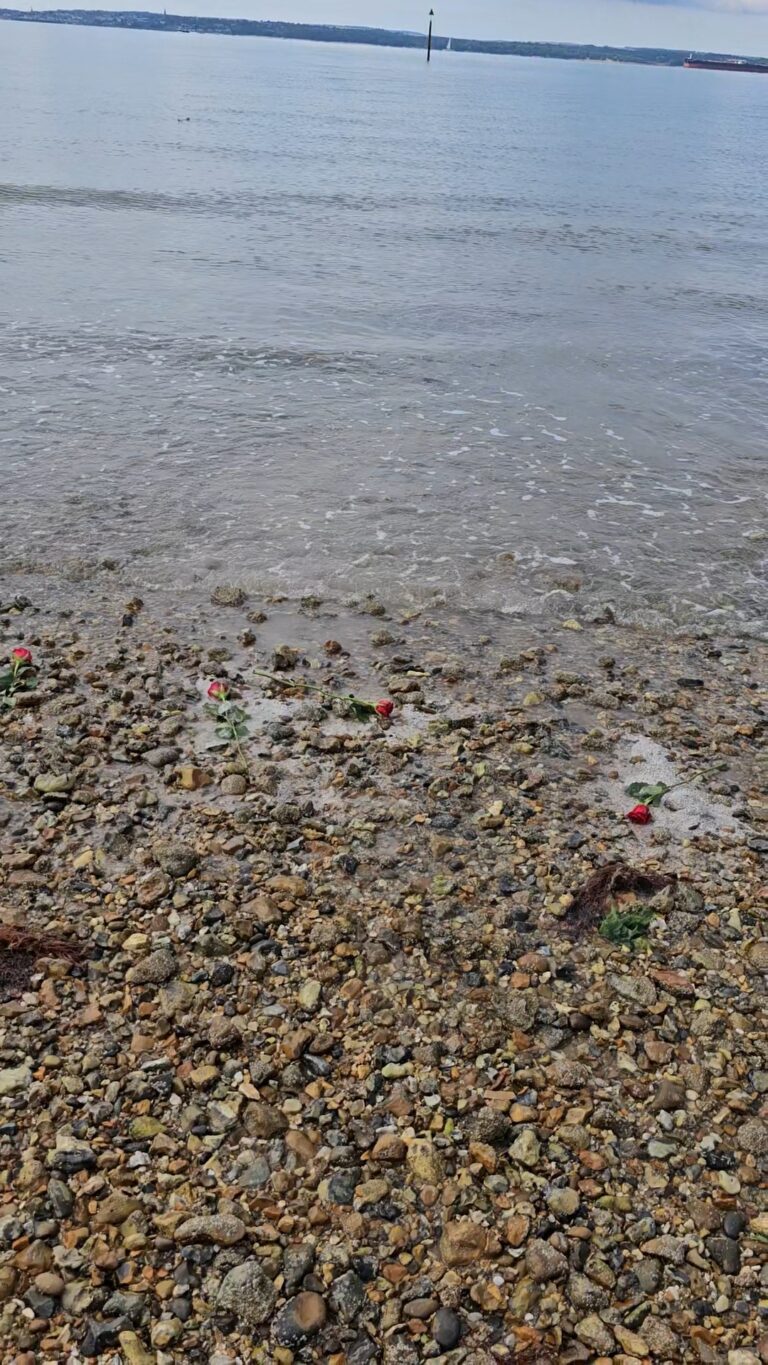 1000026195 2 768x1365