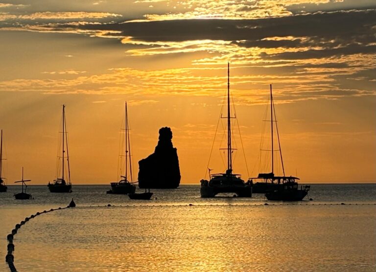 0601f306 560c 4859 ac5b bfc2b3d5d58e 768x557