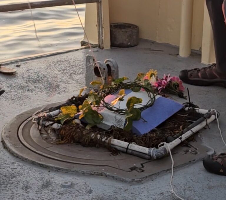 20240829 191550 exported 17514 768x677