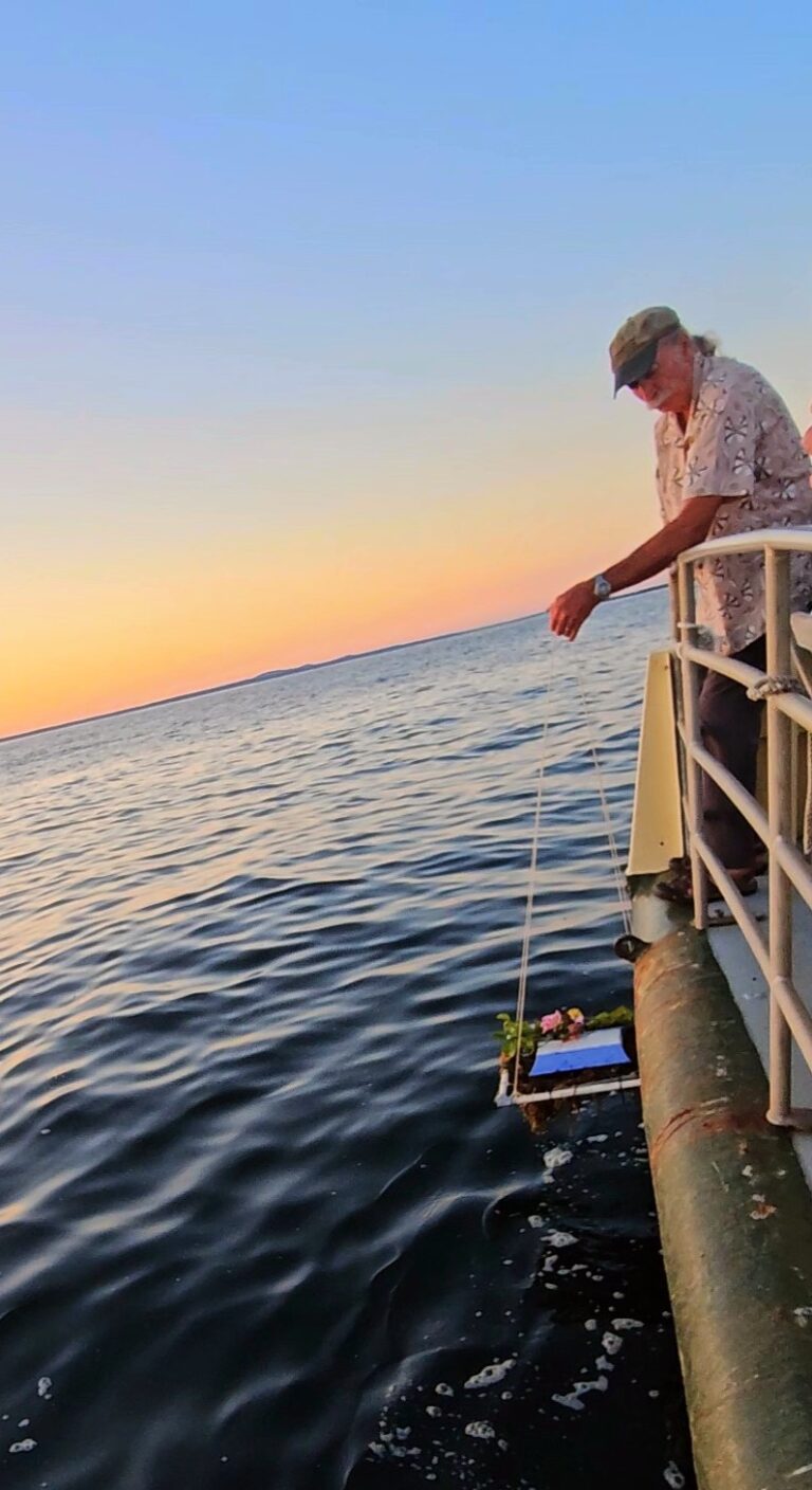 20240829 191841 exported 1832 768x1408