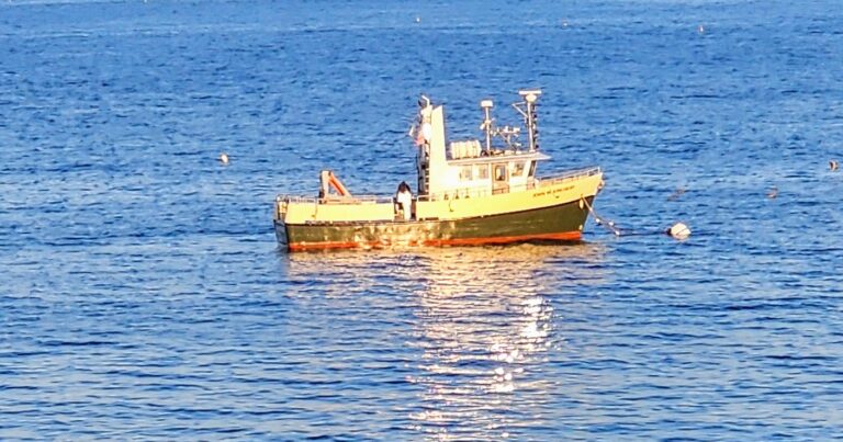 20240830 065352 768x403