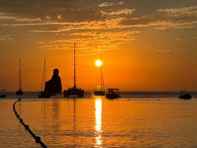 94a7852e a464 4a0e 832a 64b63d63afc5 768x576