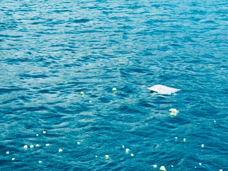 IMG 20240902 WA0075 768x576