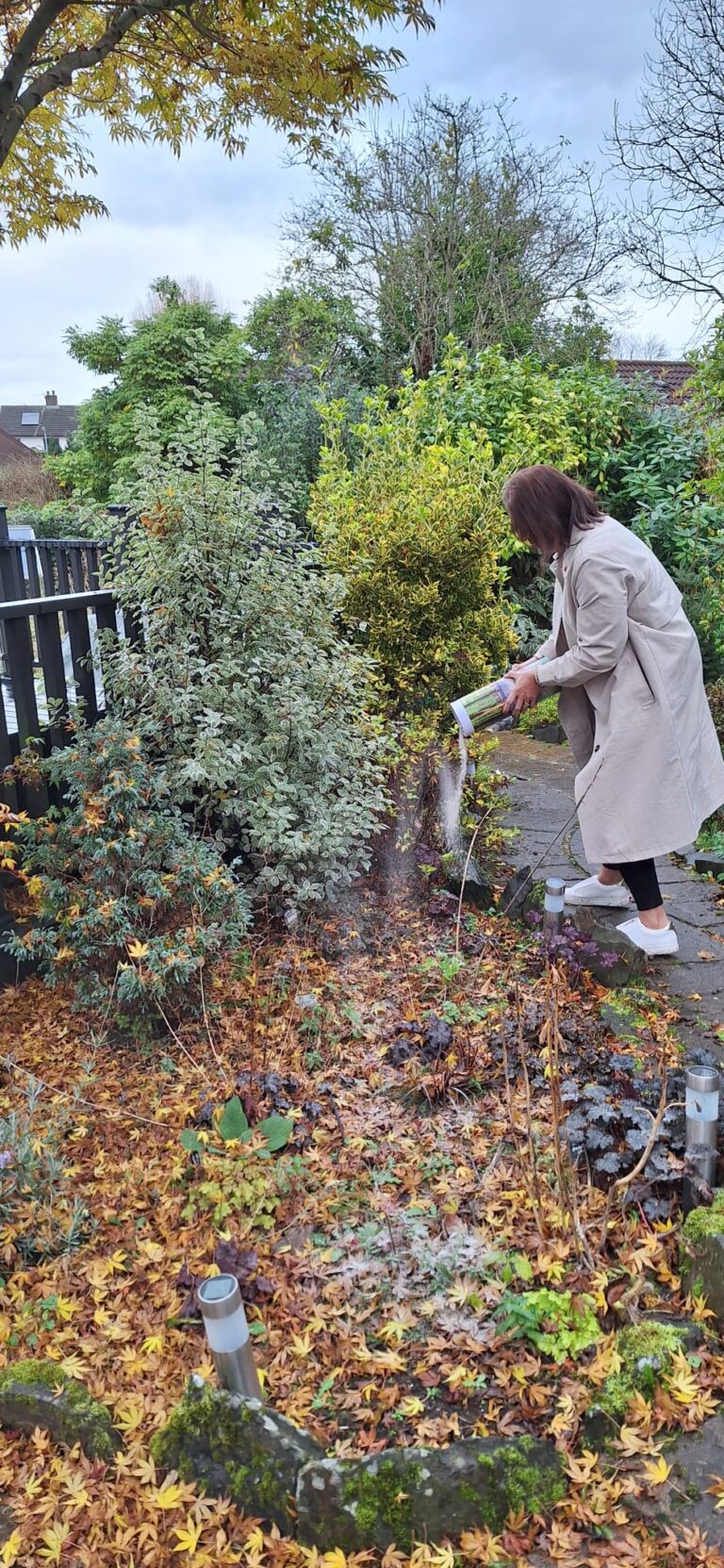 053d9efb 69b2 45a2 82ce 3d25f5948494 768x1663