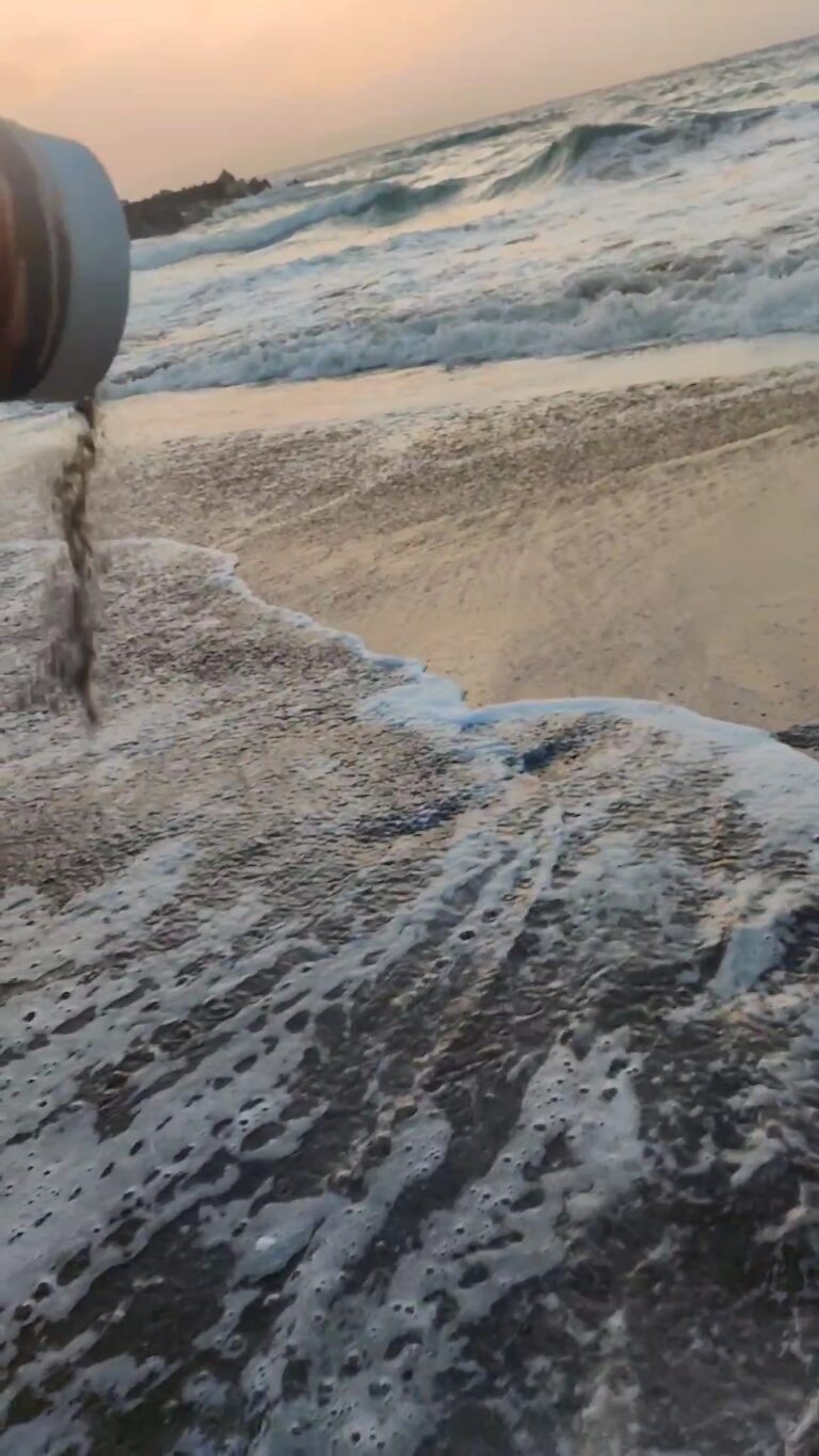 IMG 20241225 10080222 768x1365