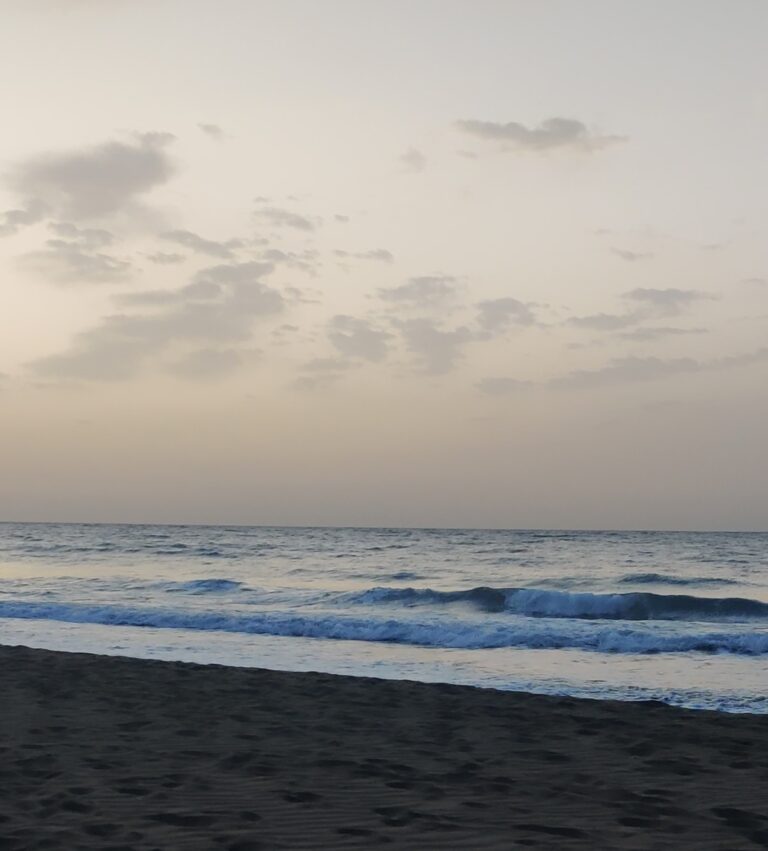 IMG 20241225 101625 768x851