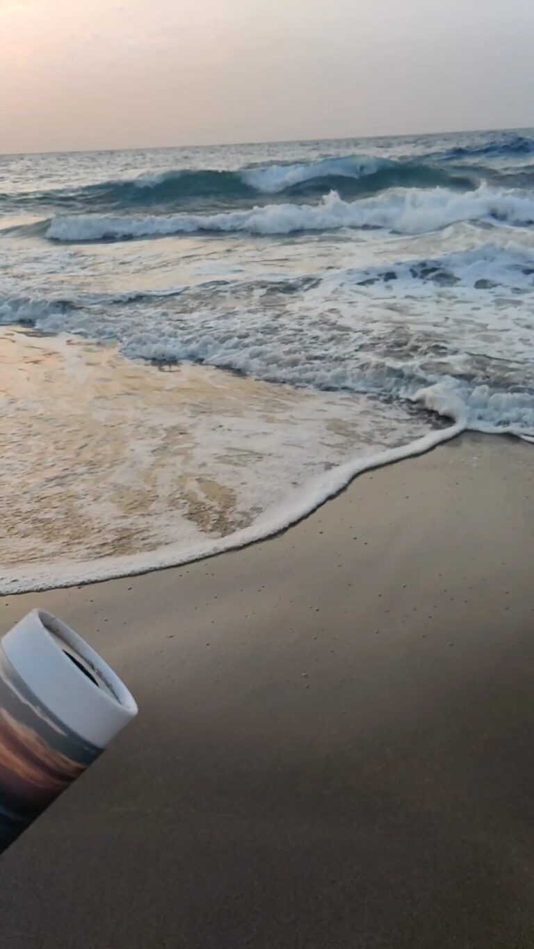 IMG 20241225 10202480 768x1365