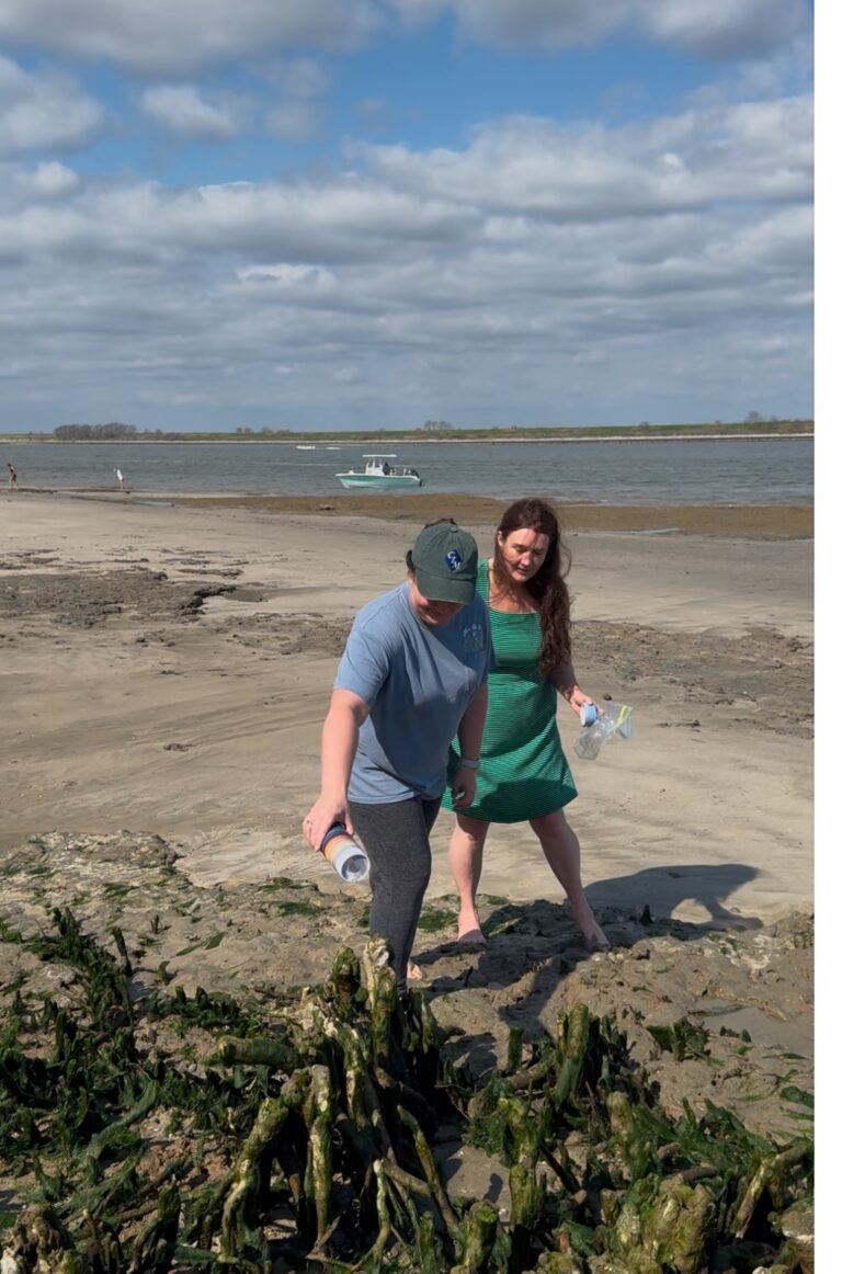 View recent photos 1 768x1162