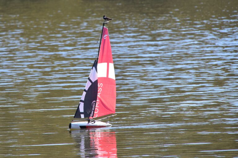 6X 2021 DSC 01113a 768x512