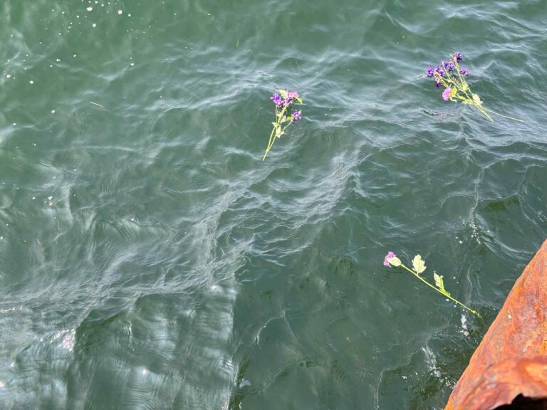 att.B1b0AfAmurXWsmsj2MOCOc0AnOR yGIuy8i4Ffrojfw 768x576