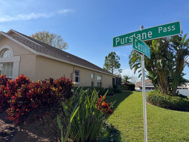 Stuart's immaculate garden at Purslane Pass