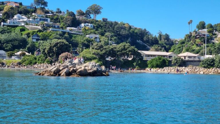 20260206 102614 768x432