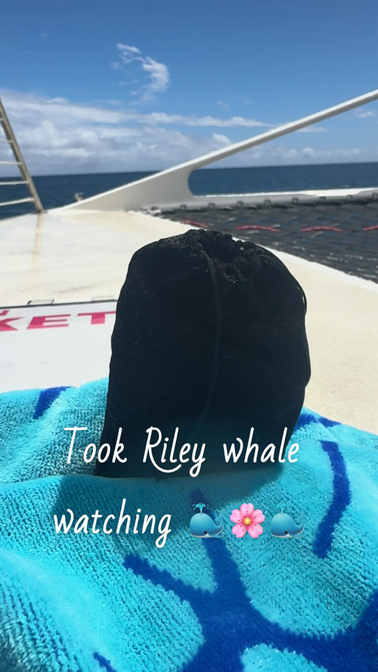 whale watching 768x1365